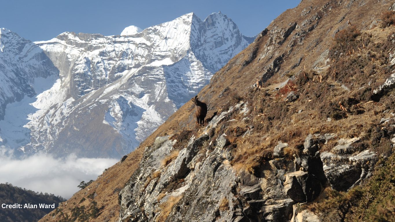 The Great Himalaya Trail